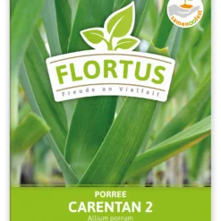 Lauch-Porree Carentan 2 (100 Stück) | Lauchsamen Von FLORTUS 5 Lauch-Porree Carentan 2 (100 Stück) | Lauchsamen Von FLORTUS -Baum Freude Verkäufe 549857 Lauch Porree Carentan 2 100 Stueck 2000 0474 100x 1