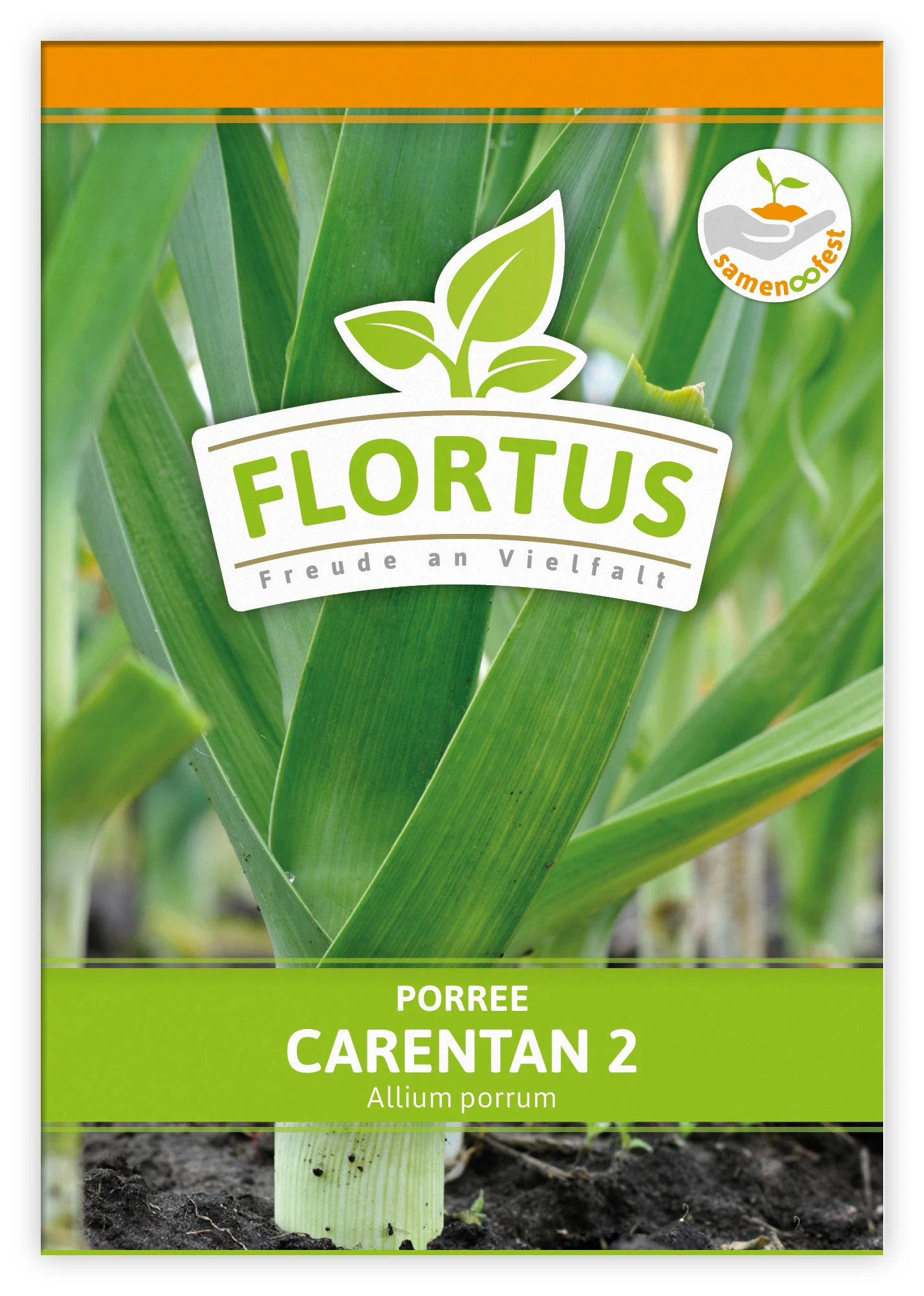 Lauch-Porree Carentan 2 (100 Stück) | Lauchsamen Von FLORTUS 3 Lauch-Porree Carentan 2 (100 Stück) | Lauchsamen Von FLORTUS – Bild 3