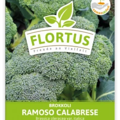 Brokkoli Ramoso Calabrese (100 Stück) | Brokkolisamen Von FLORTUS