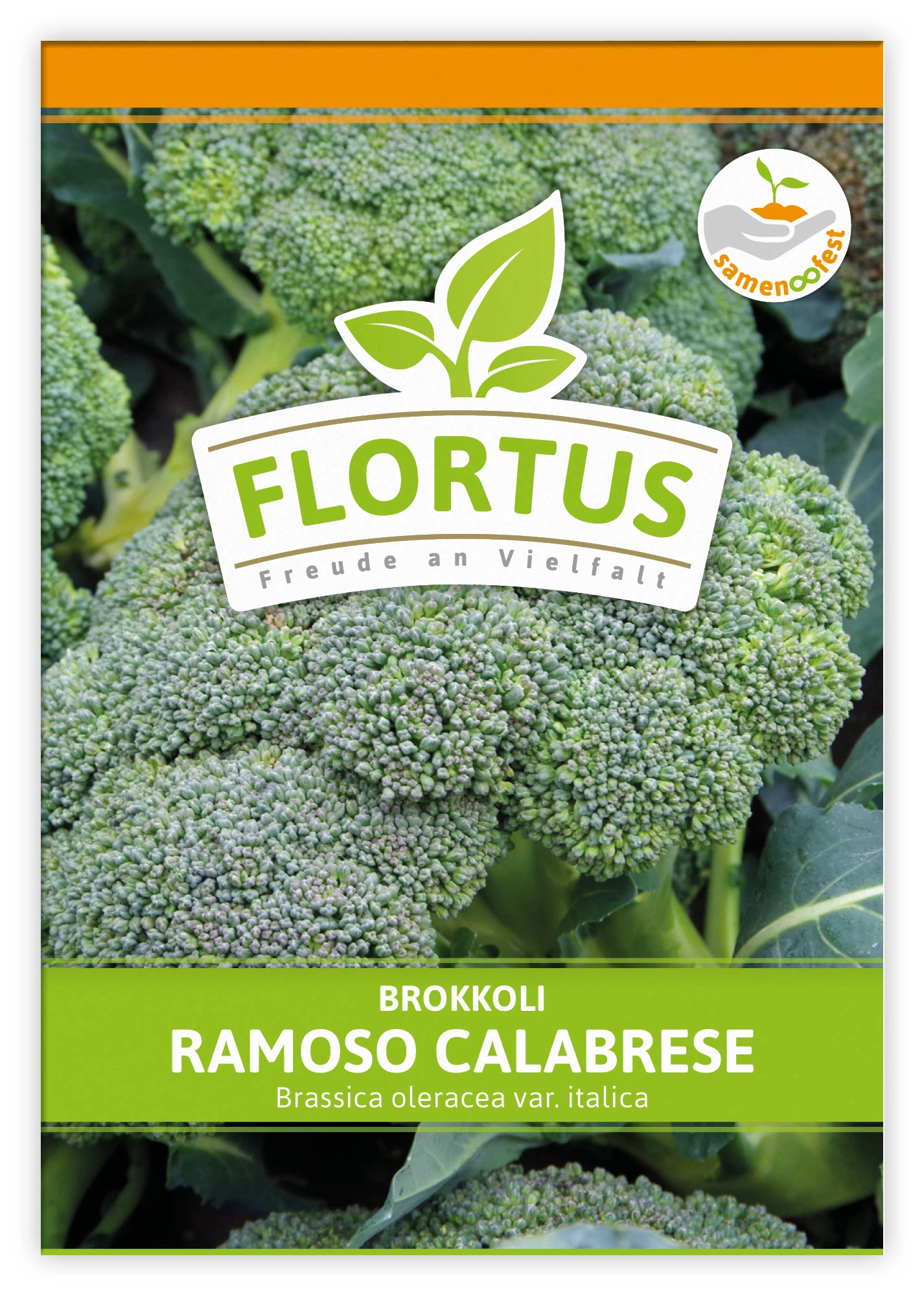 Brokkoli Ramoso Calabrese (100 Stück) | Brokkolisamen Von FLORTUS 1 Brokkoli Ramoso Calabrese (100 Stück) | Brokkolisamen Von FLORTUS