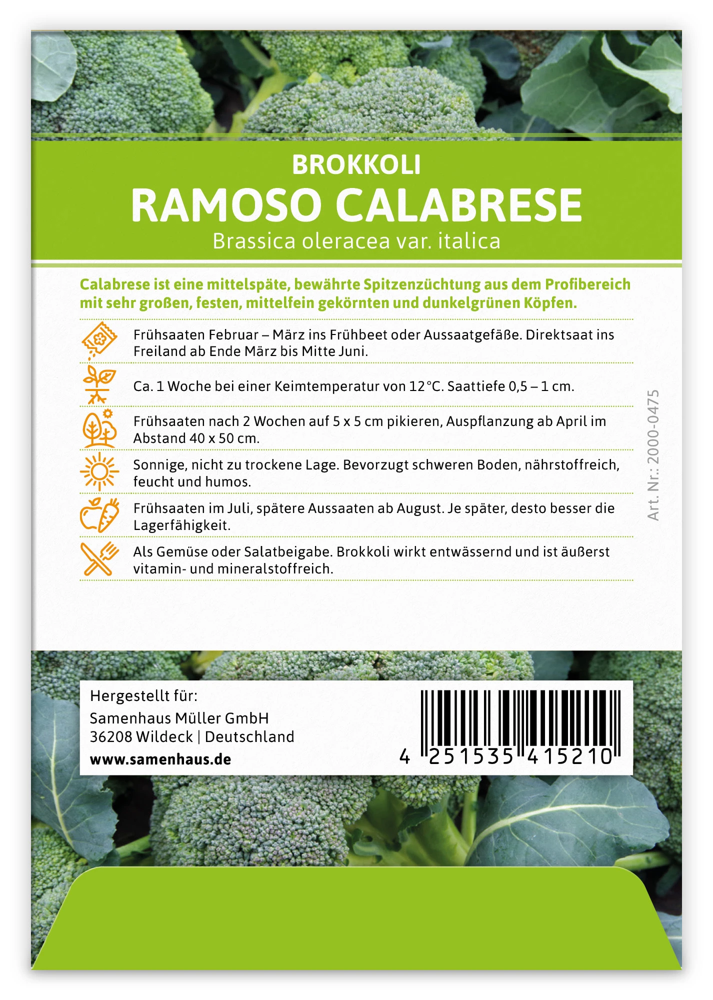 Brokkoli Ramoso Calabrese (100 Stück) | Brokkolisamen Von FLORTUS 2 Brokkoli Ramoso Calabrese (100 Stück) | Brokkolisamen Von FLORTUS – Bild 2