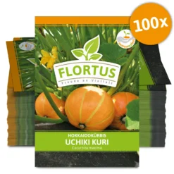 Hokkaidokürbis Uchiki Kuri (100 Stück) | Hokkaidokürbissamen Von FLORTUS -Baum Freude Verkäufe 549859 Hokkaidokuerbis Uchiki Kuri 100 Stueck 2000 0476 100x 0