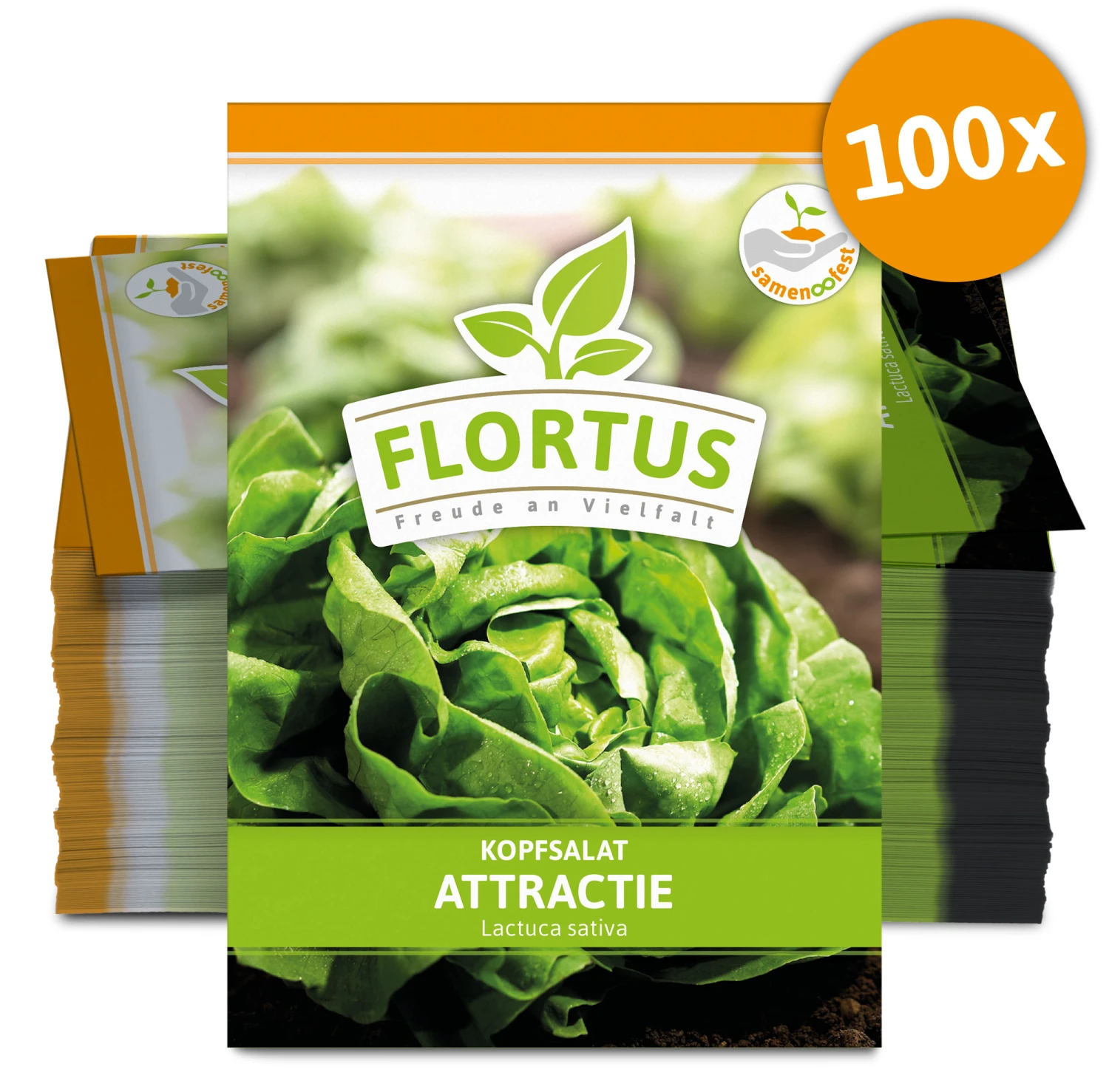 Kopfsalat Attractie (100 Stück) | Kopfsalatsamen Von FLORTUS 3 Kopfsalat Attractie (100 Stück) | Kopfsalatsamen Von FLORTUS – Bild 3