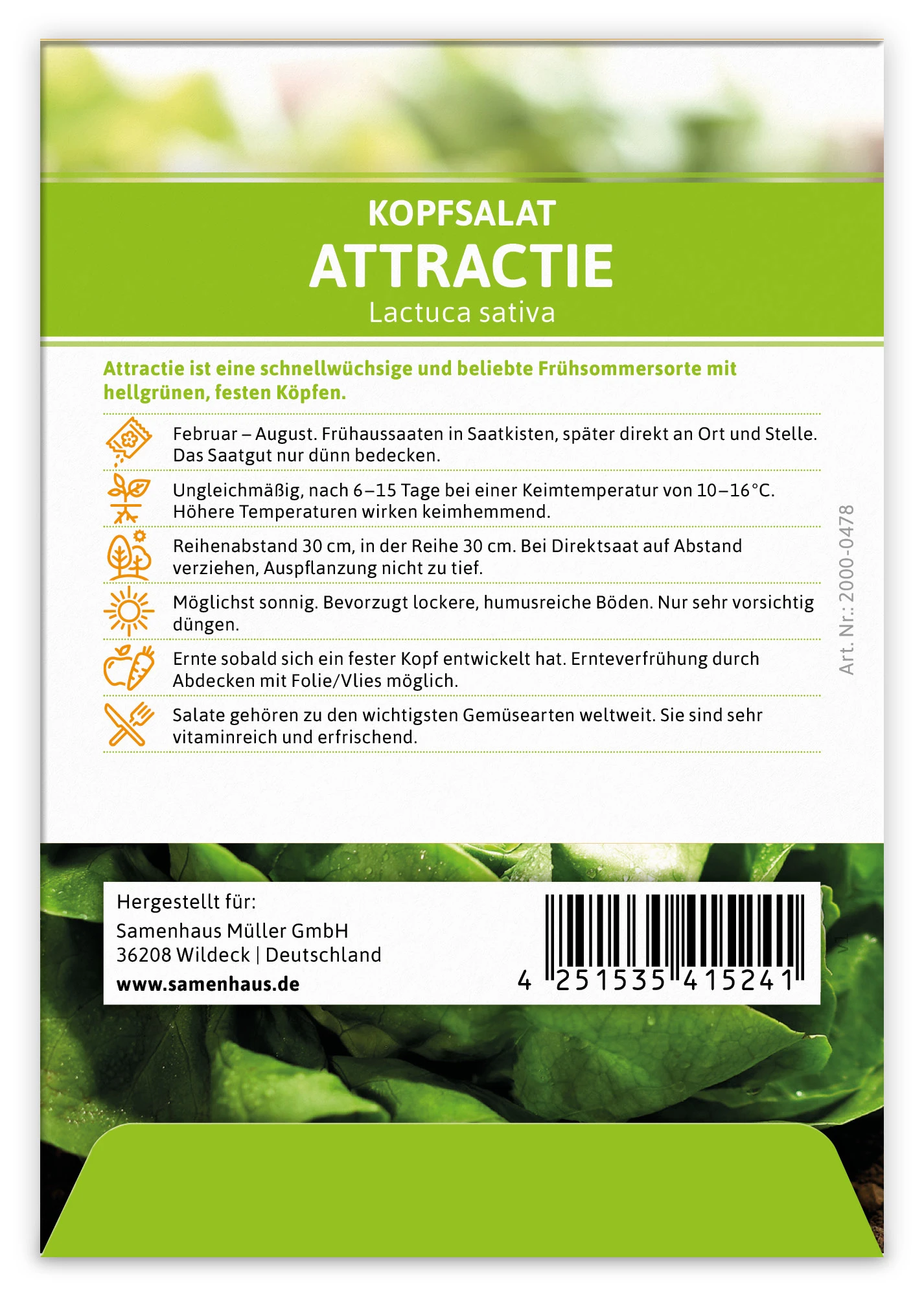 Kopfsalat Attractie (100 Stück) | Kopfsalatsamen Von FLORTUS 1 Kopfsalat Attractie (100 Stück) | Kopfsalatsamen Von FLORTUS