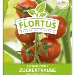 Kirschtomate Zuckertraube (100 Stück) | Kirschtomatensamen Von FLORTUS 5 Kirschtomate Zuckertraube (100 Stück) | Kirschtomatensamen Von FLORTUS -Baum Freude Verkäufe 549864 Kirschtomate Zuckertraube 100 Stueck 2000 0481 100x 1