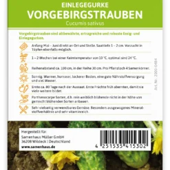 Einlegegurke Vorgebirgstrauben (100 Stück) | Einlegegurkensamen Von FLORTUS -Baum Freude Verkäufe 549867 Einlegegurke Vorgebirgstrauben 100 Stueck 2000 0484 100x 2