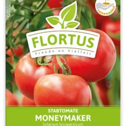 Tomate Moneymaker (100 Stück) | Tomatensamen Von FLORTUS -Baum Freude Verkäufe 549868 Tomate Moneymaker 100 Stueck 2000 0485 100x 1