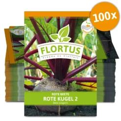 Rote Beete Rote Kugel 2 (100 Stück) | Rote Beetesamen Von FLORTUS