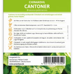Chinakohl Cantoner (100 Stück) | Chinakohlsamen Von FLORTUS