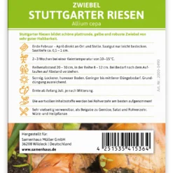 Zwiebel Stuttgarter Riesen (100 Stück) | Zwiebelsamen Von FLORTUS