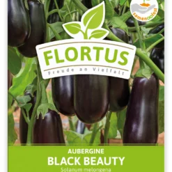 Aubergine Black Beauty (100 Stück) | Auberginensamen Von FLORTUS -Baum Freude Verkäufe 549874 Aubergine Black Beauty 100 Stueck 2000 0491 100x 1