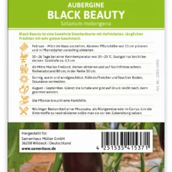 Aubergine Black Beauty (100 Stück) | Auberginensamen Von FLORTUS