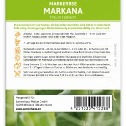 Markerbse Markana (100 Stück) | Markerbsensamen Von FLORTUS