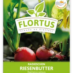 Radieschen Riesenbutter (100 Stück) | Radieschensamen Von FLORTUS -Baum Freude Verkäufe 549876 Radieschen Riesenbutter 100 Stueck 2000 0493 100x 1
