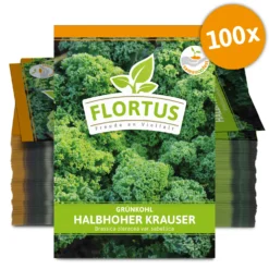 Grünkohl Halbhoher Krauser (100 Stück) | Grünkohlsamen Von FLORTUS -Baum Freude Verkäufe 549878 Gruenkohl Halbhoher Krauser 100 Stueck 2000 0495 100x 0