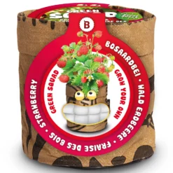 Baum Freude Verkäufe -Baum Freude Verkäufe 550257 Greensquad Suesse Erdbeere 18027706 bz 0