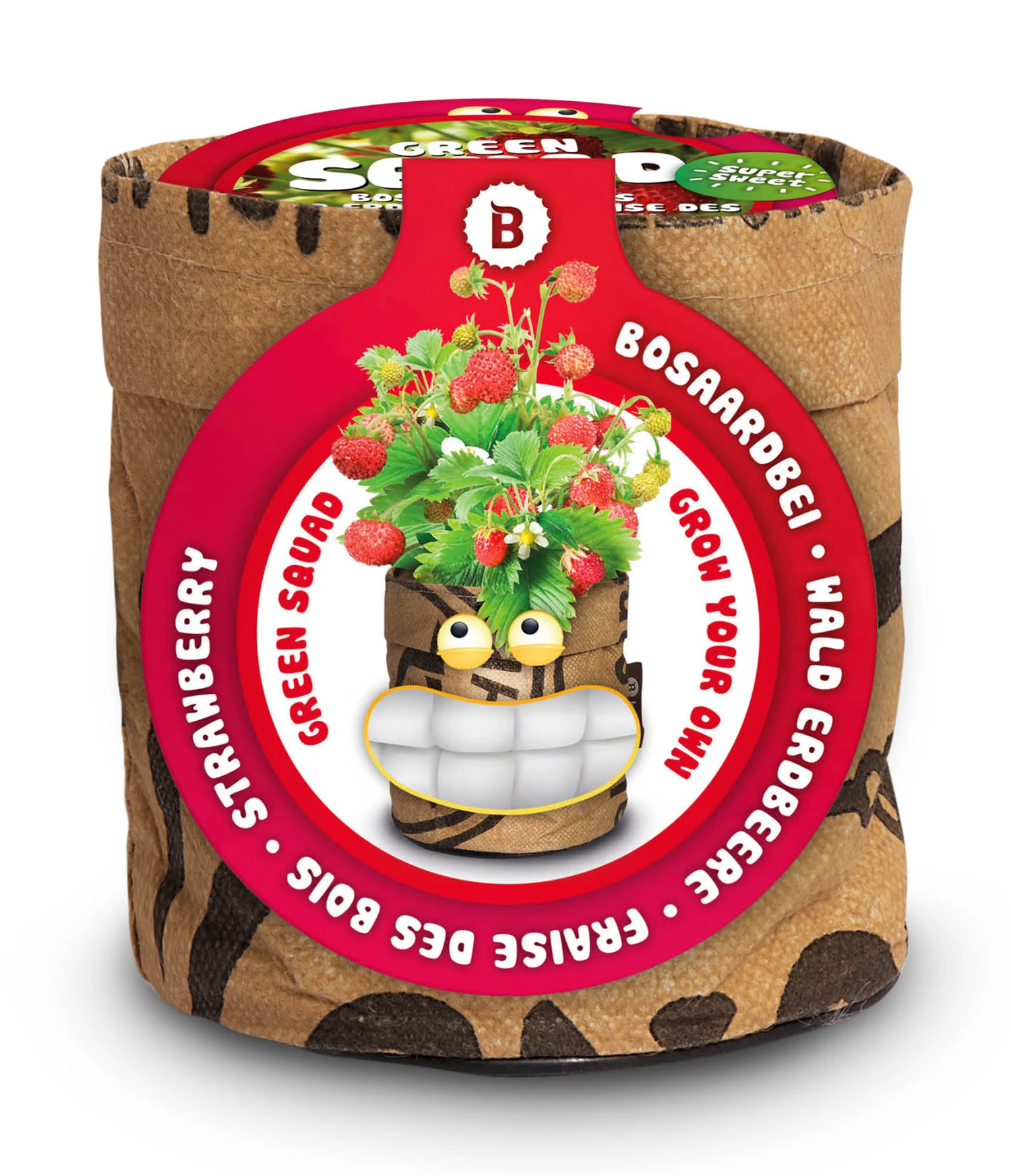 Greensquad Süße Erdbeere | Anzuchtsets Von Baza 2 Greensquad Süße Erdbeere | Anzuchtsets Von Baza – Bild 2