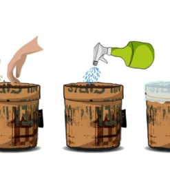 Greensquad Süße Erdbeere | Anzuchtsets Von Baza 13 Greensquad Süße Erdbeere | Anzuchtsets Von Baza -Baum Freude Verkäufe 550257 Greensquad Suesse Erdbeere 18027706 bz 3