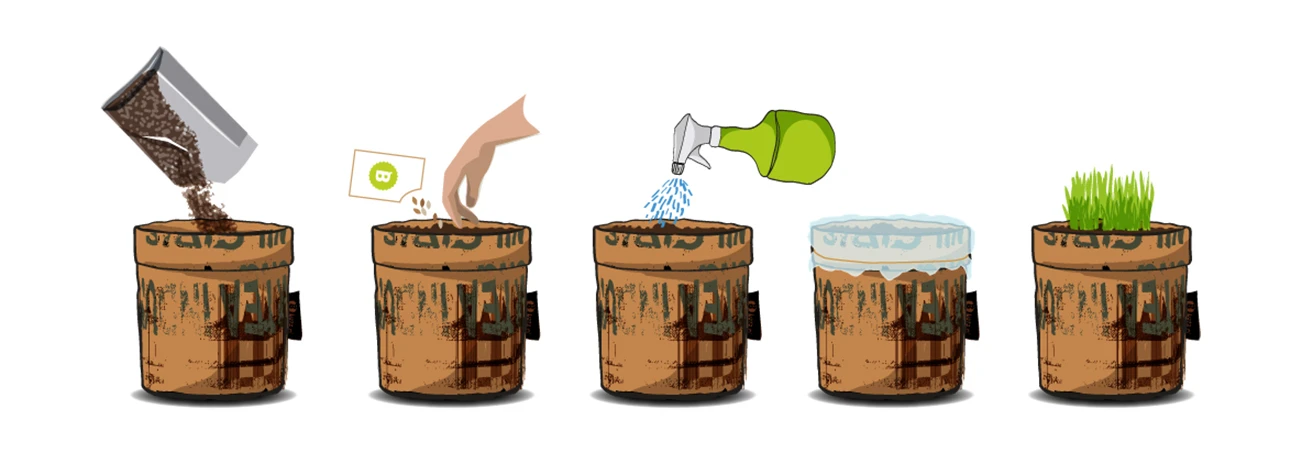 Greensquad Süße Erdbeere | Anzuchtsets Von Baza 7 Greensquad Süße Erdbeere | Anzuchtsets Von Baza – Bild 7