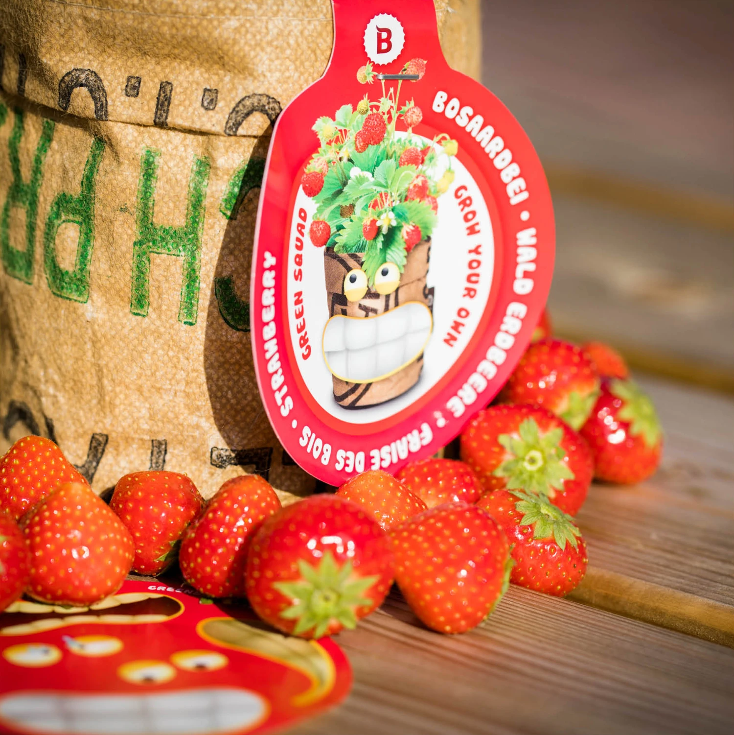 Greensquad Süße Erdbeere | Anzuchtsets Von Baza 6 Greensquad Süße Erdbeere | Anzuchtsets Von Baza – Bild 6