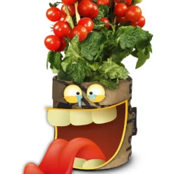 Greensquad Snack-Tomaten | Anzuchtsets Von Baza -Baum Freude Verkäufe 550259 Greensquad Snack Tomaten 18027709 bz 2