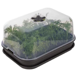 Green Basic Anzucht Set All-In-One (living Schwarz) | Zimmergewächshaus Von Elho