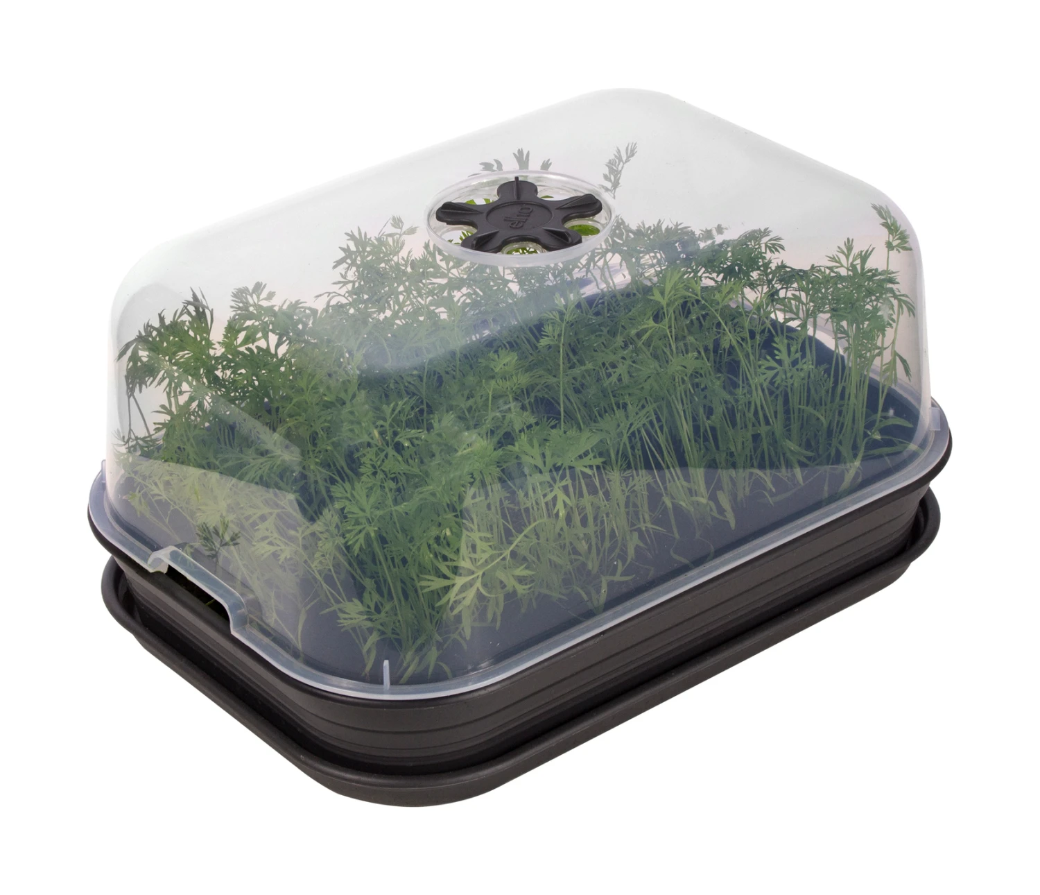 Green Basic Anzucht Set All-In-One (living Schwarz) | Zimmergewächshaus Von Elho 1 Green Basic Anzucht Set All-In-One (living Schwarz) | Zimmergewächshaus Von Elho