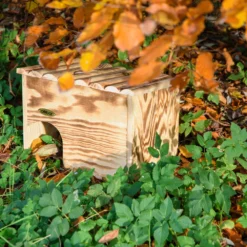 Igelhaus Geflammt (Bausatz) | Nisthilfen Von Dobar