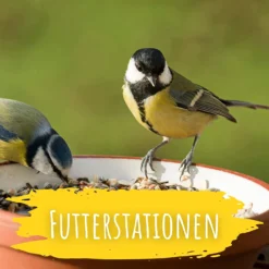 Wildvogel Futter (2 Kg) | BIO Vogelfutter Von Biobalu -Baum Freude Verkäufe 550628 BIO Wildvogel Futter 2 kg BB1019 5