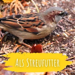 Wildvogel Futter (2 Kg) | BIO Vogelfutter Von Biobalu -Baum Freude Verkäufe 550628 BIO Wildvogel Futter 2 kg BB1019 6