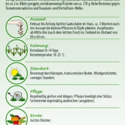 Tomate Tomande (LSdC) | Fleischtomatensamen Von Samen Pfann