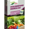 Vitalisierender Meereskalk (20 Kg) | BIO Bodenverbesserung Von Cuxin DCM