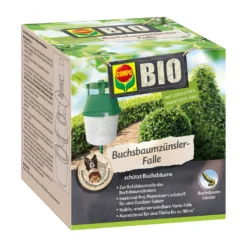 Buchsbaumzünsler Falle (1 Stück) | BIO Fallen Und Fernhaltemittel Von COMPO