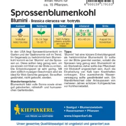 Baum Freude Verkäufe -Baum Freude Verkäufe 551524 Sprossenblumenkohl Blumini F1 2910 1