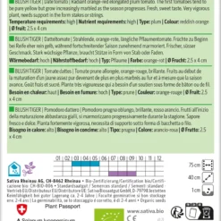 Datteltomate Blush Tiger | BIO Stabtomatensamen Von Sativa Rheinau