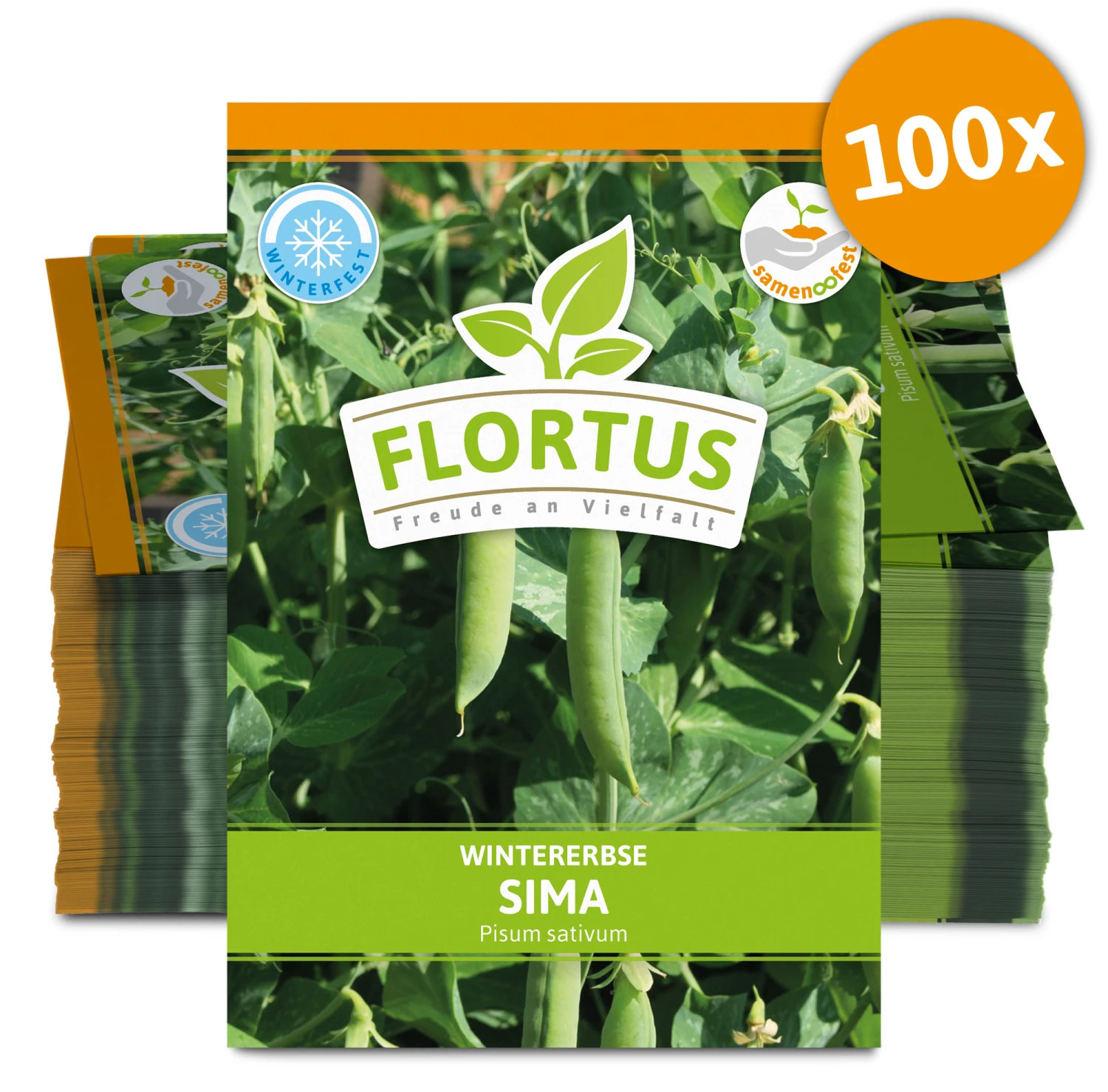 Wintererbse Sima (100 Tütchen) | Markerbsensamen Von FLORTUS 2 Wintererbse Sima (100 Tütchen) | Markerbsensamen Von FLORTUS – Bild 2