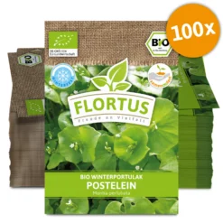 Winterportulak Postelein (100 Tütchen) | BIO Portulaksamen Von FLORTUS -Baum Freude Verkäufe 551882 BIO Winterportulak Postelein 100 Tuetchen 2000 0563 100x 0 1
