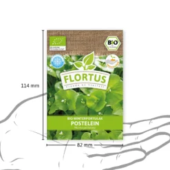 Winterportulak Postelein (100 Tütchen) | BIO Portulaksamen Von FLORTUS -Baum Freude Verkäufe 551882 BIO Winterportulak Postelein 100 Tuetchen 2000 0563 3
