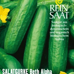 Salatgurke Beth Alpha | BIO Salatgurkensamen Von Reinsaat