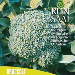 Broccoli Limba | BIO Brokkolisamen Von Reinsaat