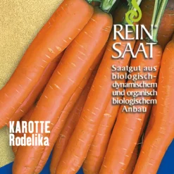 Möhre Rodelika | BIO Möhrensamen Von Reinsaat