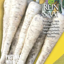 Pastinake White Gem | BIO Pastinakensamen Von Reinsaat