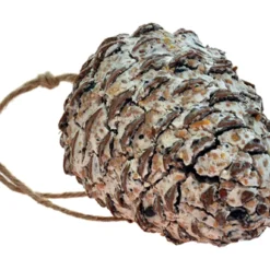 Kegel Mit Talg Und Samen | Vogelfutter Von Nelson Garden