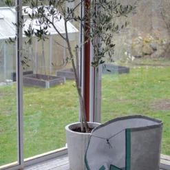 Winterschutz Für Töpfe | Winterschutz Von Nelson Garden -Baum Freude Verkäufe 552153 Winterschutz fuer Toepfe 5270 ng 3