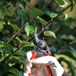 Gartenschere (17 Cm) | Scheren Von Nelson Garden -Baum Freude Verkäufe 552155 Gartenschere 17 cm 5395 ng 1