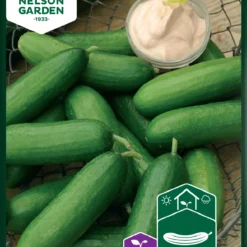 Gurke Iznik F1 | Gurkensamen Von Nelson Garden