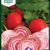 Rote Beete Chioggia | Rote Betesamen Von Nelson Garden