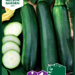 Zucchini Black Forest F1 | Zucchinisamen Von Nelson Garden