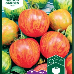 Kirschtomate Tigerella | Kirschtomatensamen Von Nelson Garden