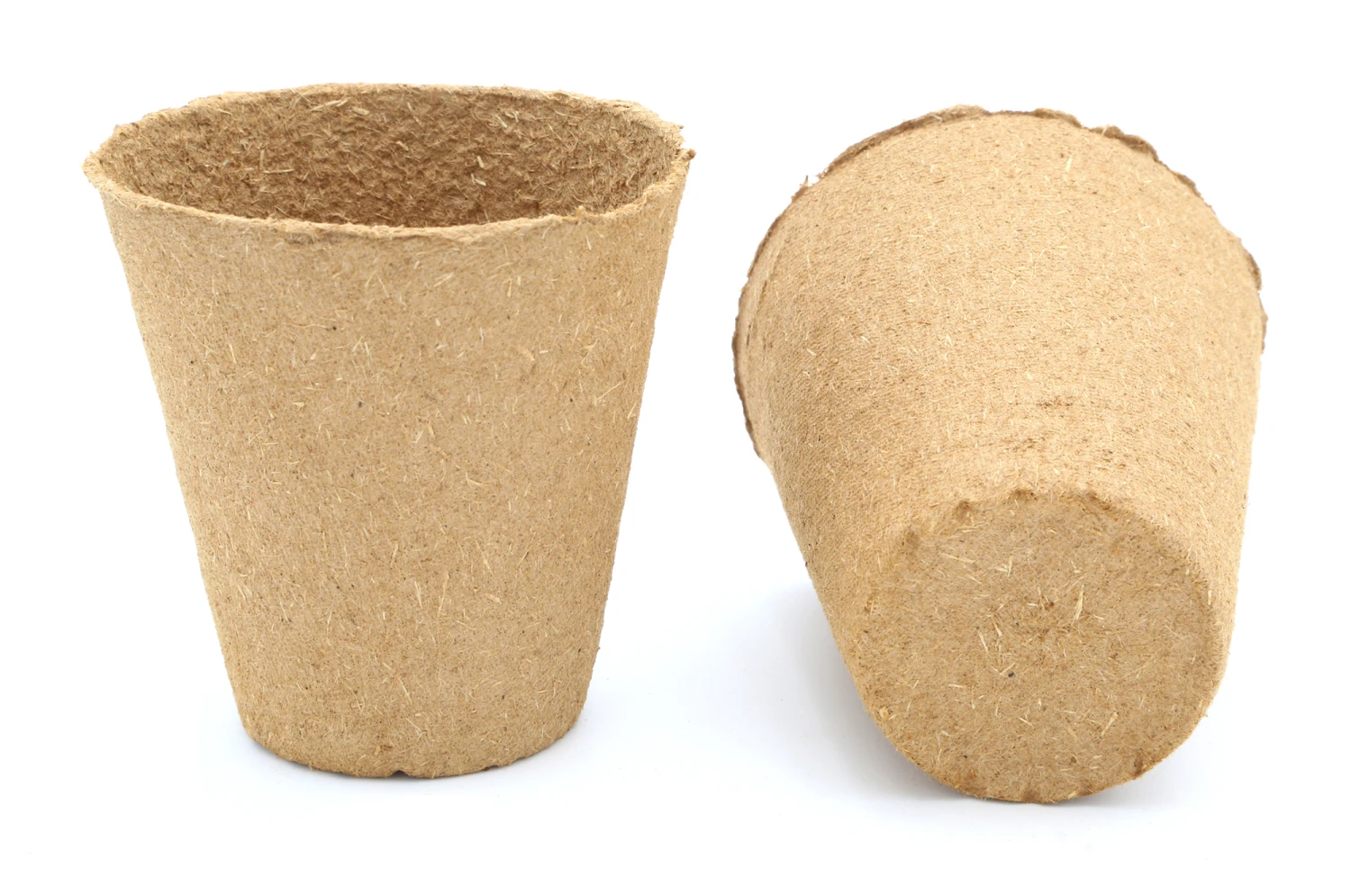 8 Cm Anzuchttopf Rund Auf Holzfaser Basis | Anzuchttöpfe Von FLORTUS 1 8 Cm Anzuchttopf Rund Auf Holzfaser Basis | Anzuchttöpfe Von FLORTUS